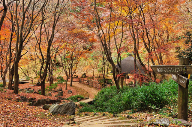 県立七沢森林公園